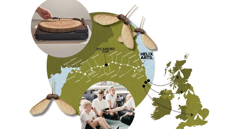 A collage including a map of the UK showing the Sycamore Gap tree's legacy reaching nationwide, a record player with a wooden tree ring as the platter, school children participating in a workshop, and sycamore seeds.